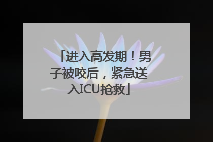 进入高发期！男子被咬后，紧急送入ICU抢救