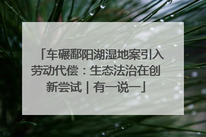 车碾鄱阳湖湿地案引入劳动代偿：生态法治在创新尝试｜有一说一