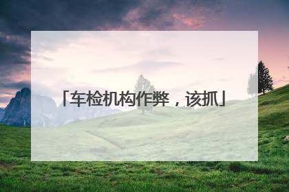 车检机构作弊，该抓