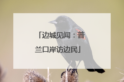 边城见闻：普兰口岸访边民