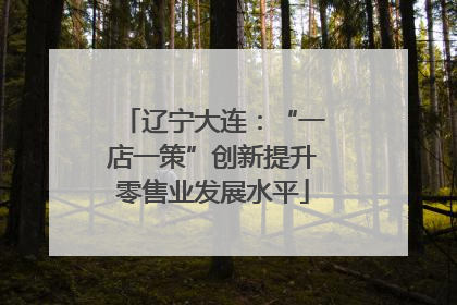 辽宁大连：“一店一策”创新提升零售业发展水平
