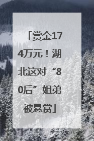 赏金174万元！湖北这对“80后”姐弟被悬赏