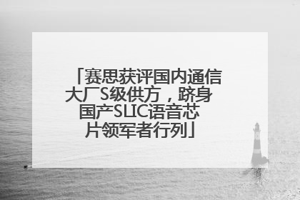 赛思获评国内通信大厂S级供方，跻身国产SLIC语音芯片领军者行列