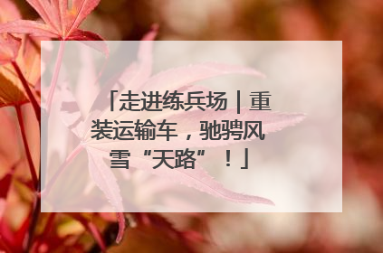 走进练兵场｜重装运输车，驰骋风雪“天路”！