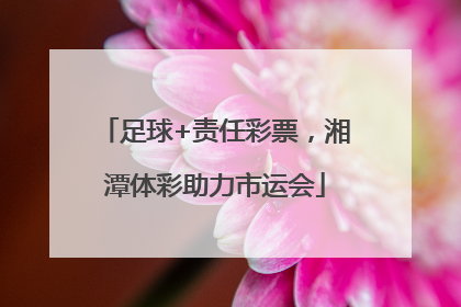 足球+责任彩票，湘潭体彩助力市运会