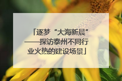 逐梦“大海新晨”——探访泰州不同行业火热的建设场景