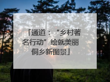 通道：“乡村著名行动”绘就美丽侗乡新图景