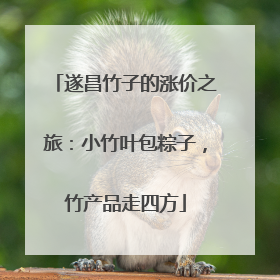 遂昌竹子的涨价之旅：小竹叶包粽子，竹产品走四方