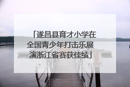 遂昌县育才小学在全国青少年打击乐展演浙江省赛获佳绩
