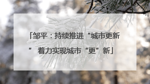 邹平：持续推进“城市更新” 着力实现城市“更”新
