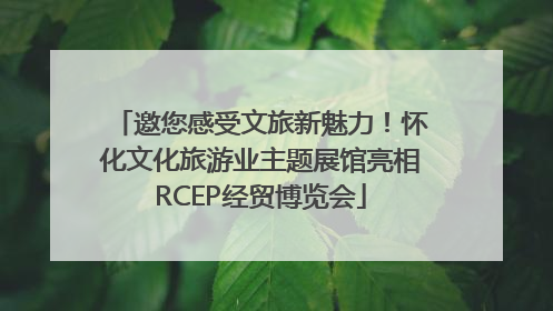 邀您感受文旅新魅力！怀化文化旅游业主题展馆亮相RCEP经贸博览会