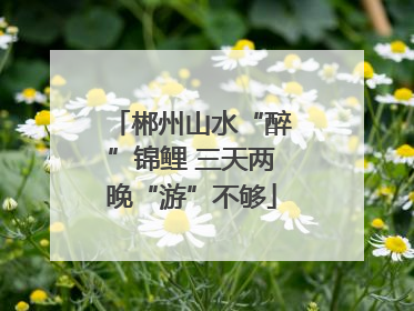 郴州山水“醉”锦鲤 三天两晚“游”不够