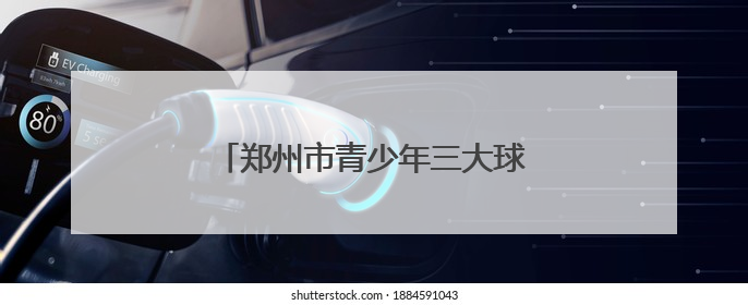 郑州市青少年三大球联赛排球比赛收官