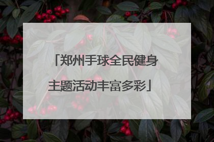 郑州手球全民健身主题活动丰富多彩