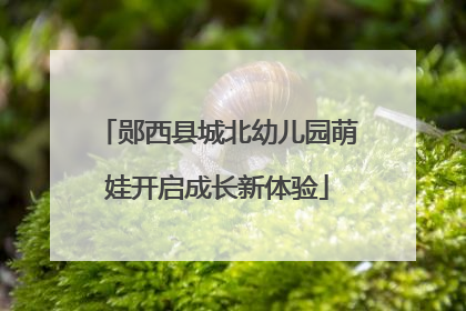 郧西县城北幼儿园萌娃开启成长新体验