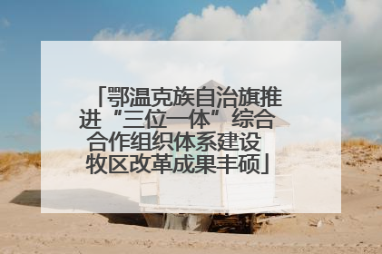 鄂温克族自治旗推进“三位一体”综合合作组织体系建设 牧区改革成果丰硕