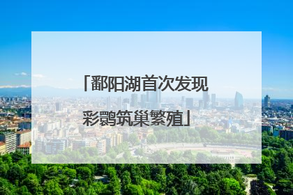 鄱阳湖首次发现彩鹮筑巢繁殖