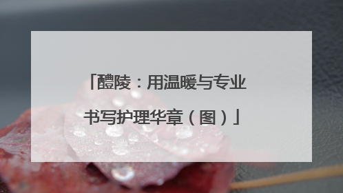 醴陵：用温暖与专业 书写护理华章（图）