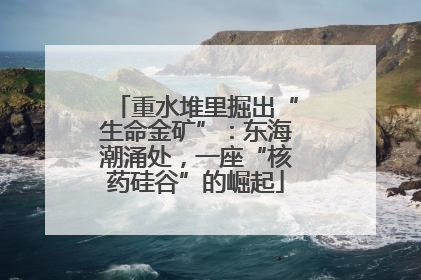 重水堆里掘出“生命金矿”：东海潮涌处，一座“核药硅谷”的崛起