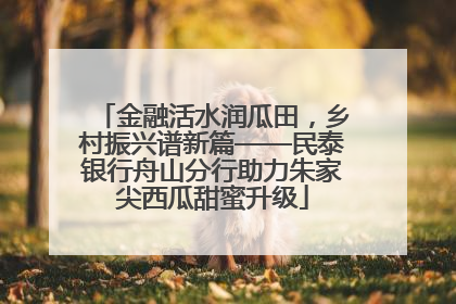 金融活水润瓜田，乡村振兴谱新篇——民泰银行舟山分行助力朱家尖西瓜甜蜜升级
