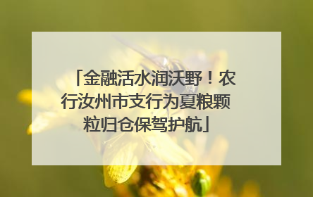 金融活水润沃野！农行汝州市支行为夏粮颗粒归仓保驾护航