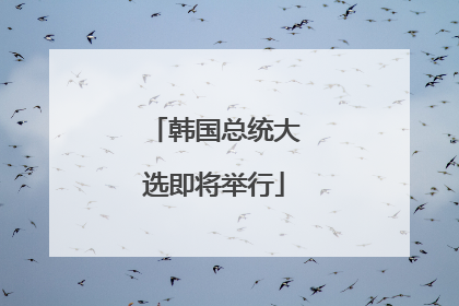 韩国总统大选即将举行