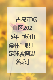 青岛市崂山区2025年“崂山湾杯”职工足球赛圆满落幕