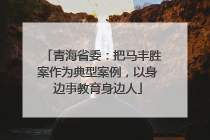 青海省委：把马丰胜案作为典型案例，以身边事教育身边人