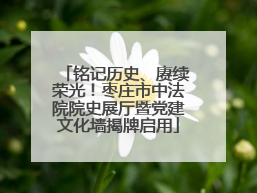 铭记历史、赓续荣光！枣庄市中法院院史展厅暨党建文化墙揭牌启用