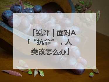锐评｜面对AI“抗命”，人类该怎么办