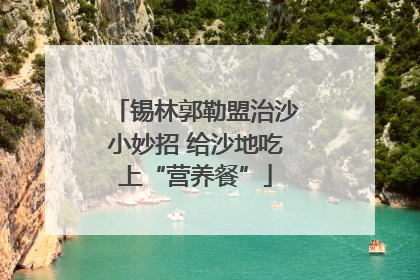 锡林郭勒盟治沙小妙招 给沙地吃上“营养餐”