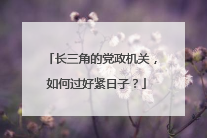长三角的党政机关，如何过好紧日子？
