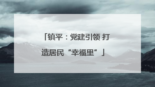 镇平：党建引领 打造居民“幸福里”