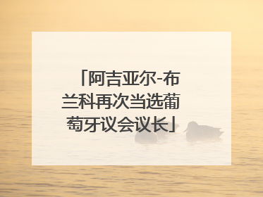 阿吉亚尔-布兰科再次当选葡萄牙议会议长