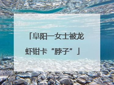 阜阳一女士被龙虾钳卡“脖子”