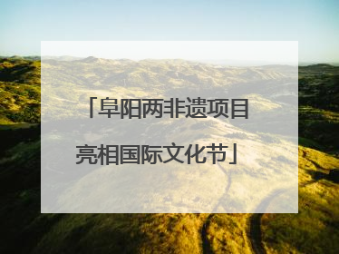 阜阳两非遗项目亮相国际文化节