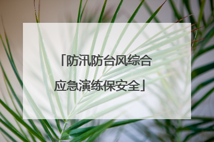 防汛防台风综合应急演练保安全
