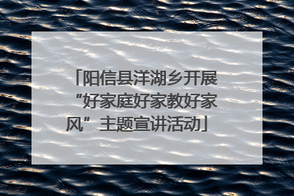 阳信县洋湖乡开展“好家庭好家教好家风”主题宣讲活动
