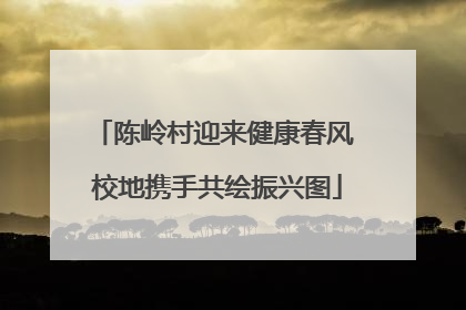 陈岭村迎来健康春风 校地携手共绘振兴图