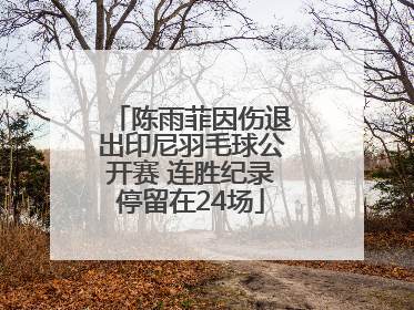 陈雨菲因伤退出印尼羽毛球公开赛 连胜纪录停留在24场