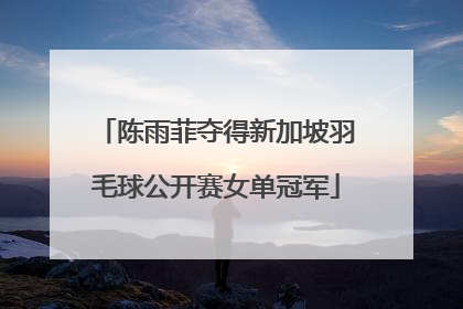 陈雨菲夺得新加坡羽毛球公开赛女单冠军
