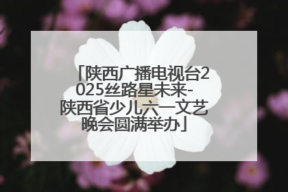陕西广播电视台2025丝路星未来-陕西省少儿六一文艺晚会圆满举办