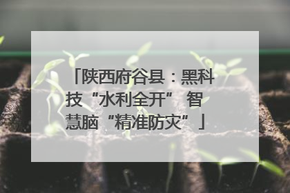 陕西府谷县：黑科技“水利全开” 智慧脑“精准防灾”