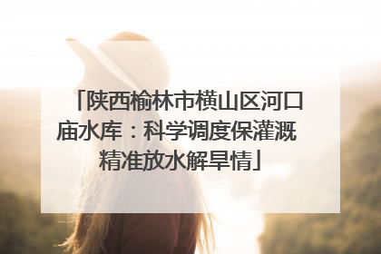 陕西榆林市横山区河口庙水库：科学调度保灌溉 精准放水解旱情