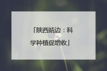 陕西靖边：科学种植促增收