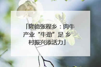 隆德张程乡：肉牛产业“牛劲”足 乡村振兴添活力