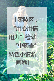 零陵区：“用心用情用力”绘就“中药香”特色小镇新画卷
