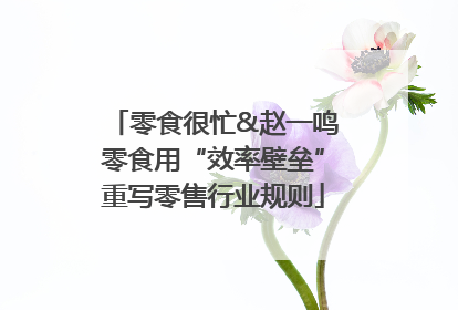 零食很忙&赵一鸣零食用“效率壁垒”重写零售行业规则