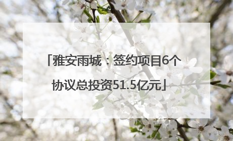 雅安雨城：签约项目6个 协议总投资51.5亿元