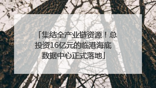 集结全产业链资源！总投资16亿元的临港海底数据中心正式落地